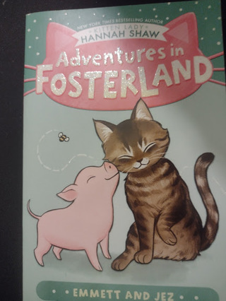 Adventures in Fosterland: Emmett & Jez