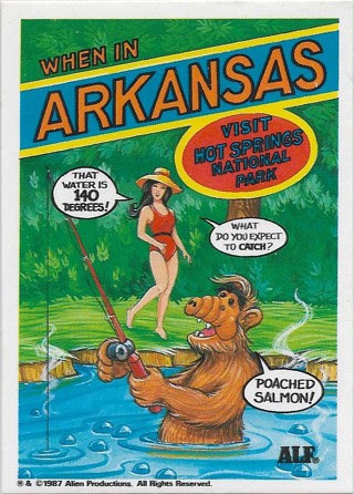  1987 Zoot U.S. of Alf Stickers #4 Arkansas