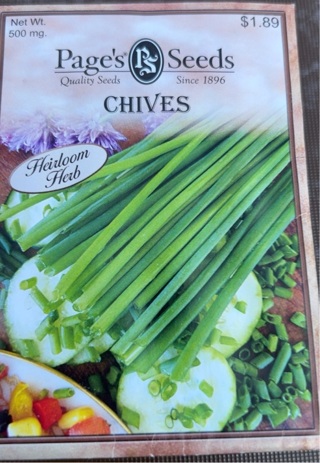 Chive seeds