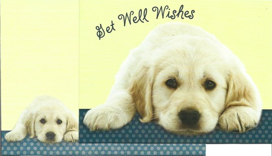 Brand New Never Been Used .Get Well Greeting Card With Matching Envelope