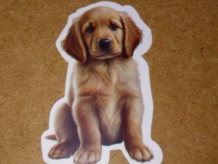 Dog Cute one nice vinyl sticker no refunds regular mail only win 2 or more get bonus