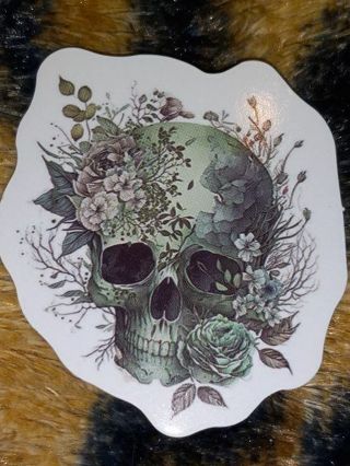 Beautiful Cool one nice vinyl sticker no refunds regular mail only Very nice quality!