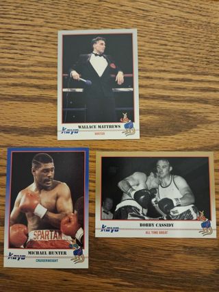 1991 KAYO Boxing trading cards.