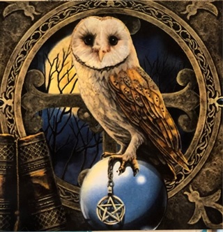 Owl with pentagram - 4 x 3” MAGNET - GIN ONLY