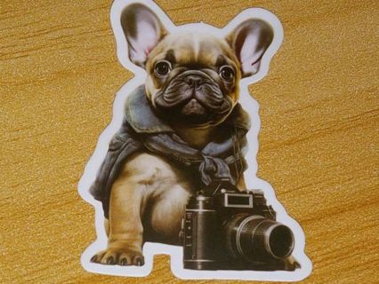 Dog Cute one new nice vinyl lab top sticker no refunds regular mail high quality!