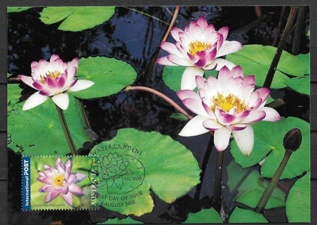 2002 Australia Sc2073 $1 Nymphaea lmmutabilis maxi card 