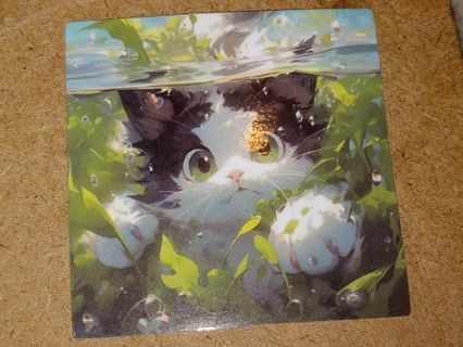 Cat one new small vinyl laptop sticker no refunds regular mail only