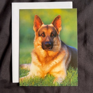 German Shepard Note Card (A)