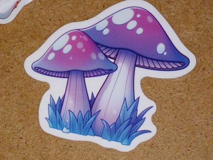 Cool one vinyl sticker no refunds regular mail only Very nice quality!