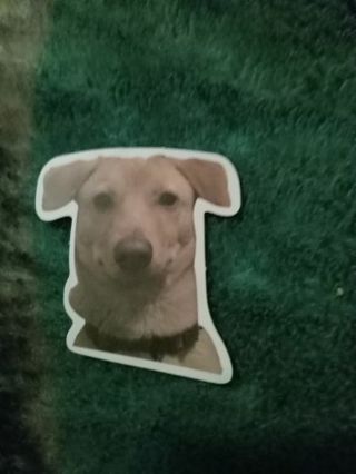 Puppy dog face sticker