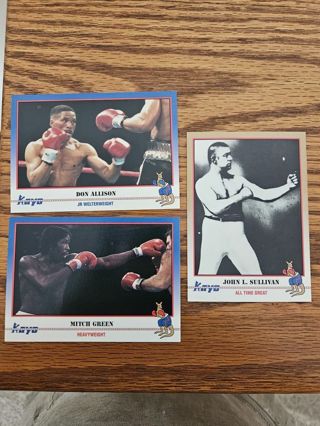 1991 KAYO Boxing trading cards.