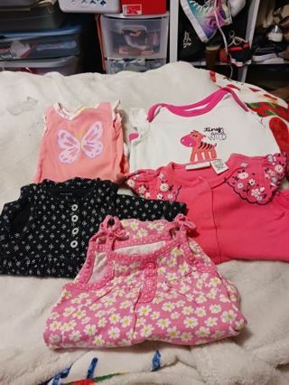 5 Baby girl size 3-6m onesies