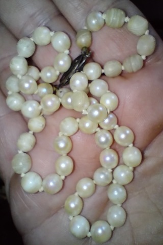 NECKLACE ANTIQUE CULTURED PEARLS SILVER CATCH 16 INCHES LONG OVER 100 YEARS OLD WOW!