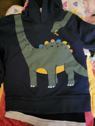 Dinosaur Hoodie