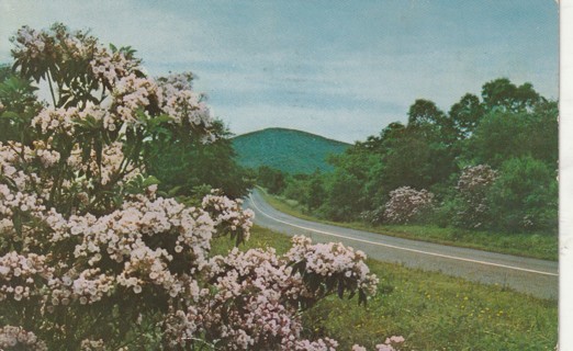 Vintage Used Postcard: C: 1958 Skyline Drive, VA