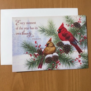 Winter Cardinals Christmas Card 