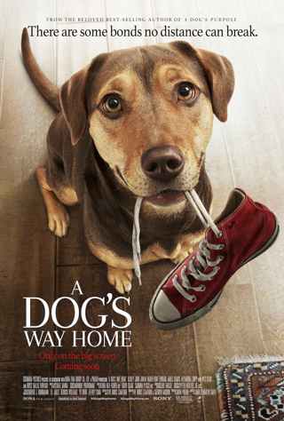 "A Dog's Way Home" HD "Vudu or Movies Anywhere" Digital Code