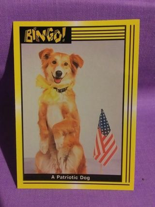 BingoTrading Card #7