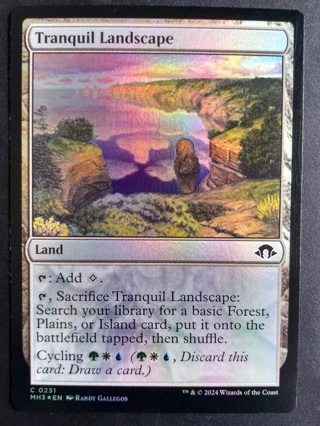 MTG Modern Horizons 3 - Tranquil Landscape - Foil