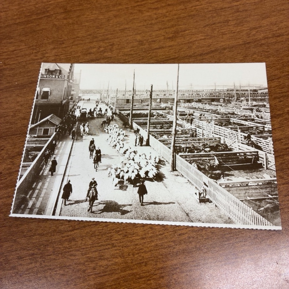 FREE: Unused Postcard Chicago Stock Yards