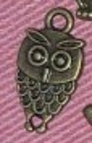 Wise Owl charm