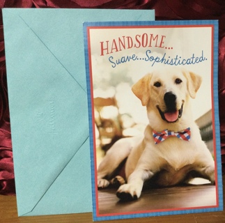 Dog Wearing Red, White & Blue Bow Tie Birthday Card