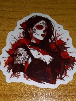 Cool new one vinyl lap top sticker no refunds regular mail very nice quality