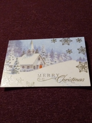 Merry Christmas Card - Beauty