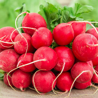 GIANT RED RADISH SEEDS