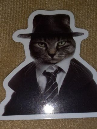 Cat one nice vinyl sticker no refunds I send all regular mail nice quality