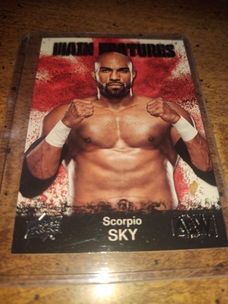 Two card lot aew wrestling Scorpio sky