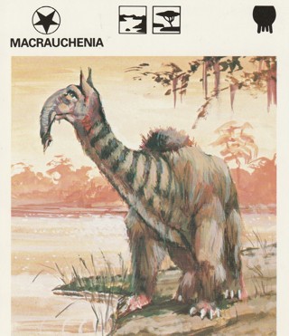 Vintage 1975 Leisure Books Animal Card crdgin6: MACRAUCHENIA