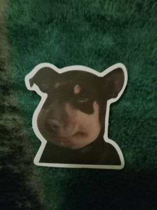 Puppy dog face sticker