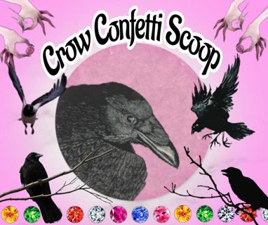 1 Scoop of Crow Confetti