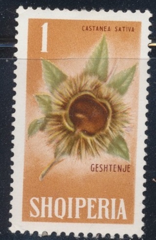 Albania:  1965, Sweet Chestnut, MLH-OG, Scott # 797 - NZE-5000d