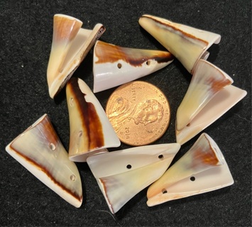 10 Double Holed Shell Beads