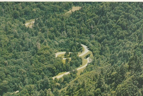 Vintage Unused Postcard: f: Loop, Smoky Mountains, TN