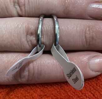 Pair of Stainless Steel Rings