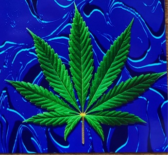 Weed Leaf - 3 x 3” MAGNET - GIN ONLY