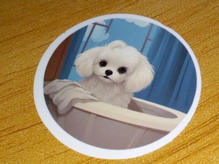 Cute vinyl sticker no refunds regular mail only Very nice quality!