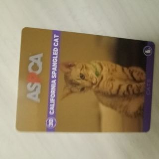 ASPCA Trading Card