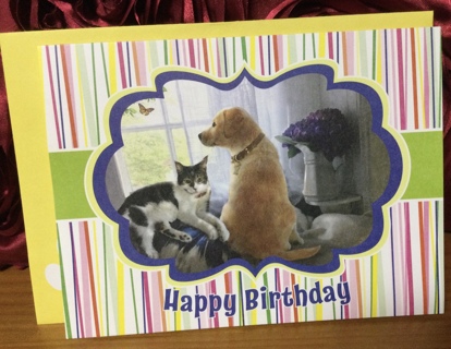 Happy Birthday Dog and Cat Card