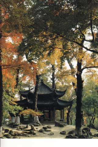 Vintage Postcard Red Maples at the Foot of the Hill, China