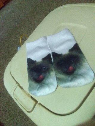 Cat Socks BN