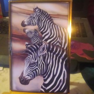 Zebra World - Design Magnet