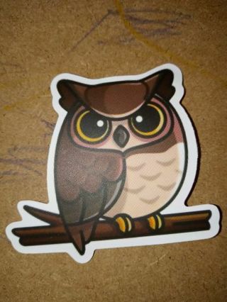 Owl Cool new vinyl lap top sticker no refunds regular mail very nice quality