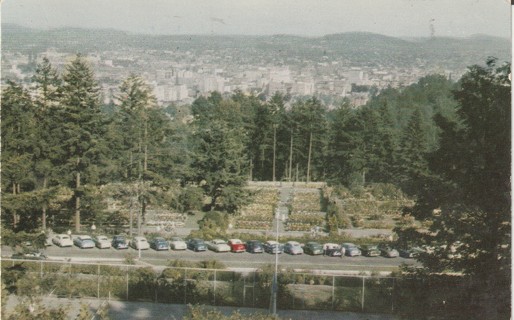 Vintage Used Postcard: A: Rose Gardens, Portland, OR