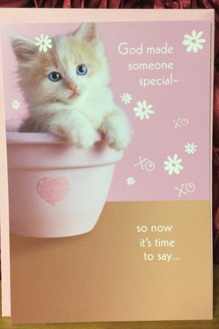 Kitten Sitting in a Pink Pot Birthday Card