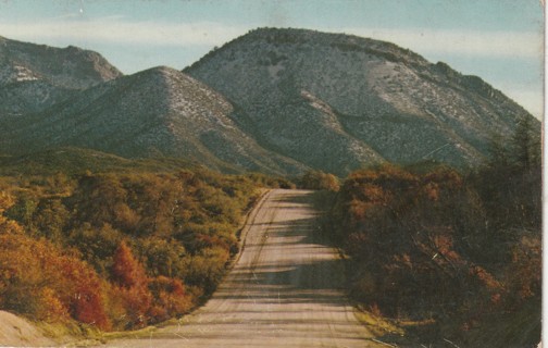 Vintage Used Postcard: C: 1953 Highway in Arizona