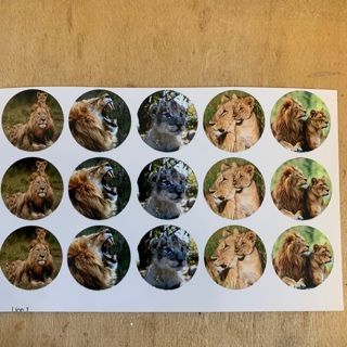 Lions Bottle Cap Image Sheet 